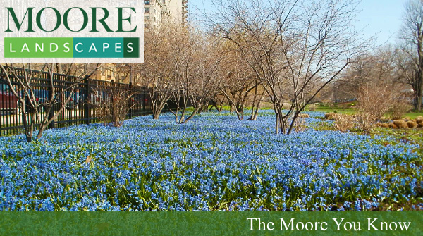 March 2022 Moore You Know Newsletter
