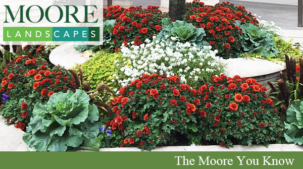 August 2022 Moore You Know Newsletter
